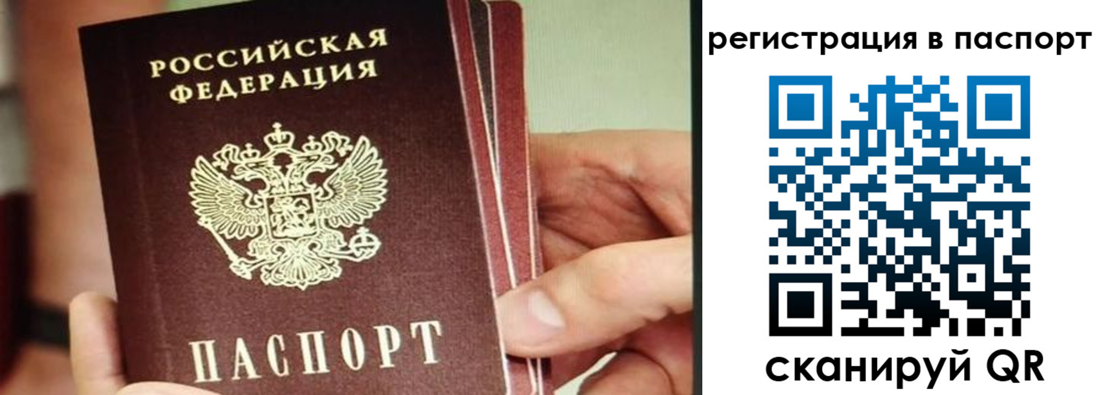 временная регистрация надежно в Мытищах